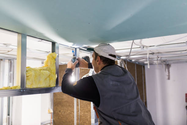 Best DIY Insulation Kits and Guidance in Thiensville, WI